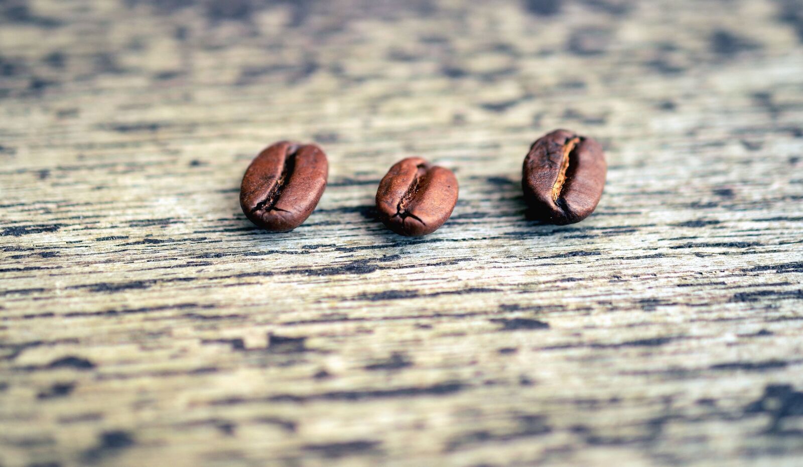 Nikon D5100 sample photo. Coffee, grain, seed, surface photography