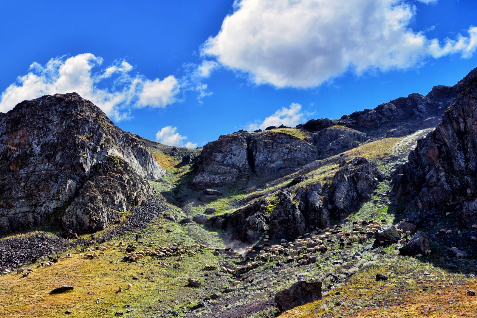 Nikon D7100 sample photo. Mountain, highland, nature photography
