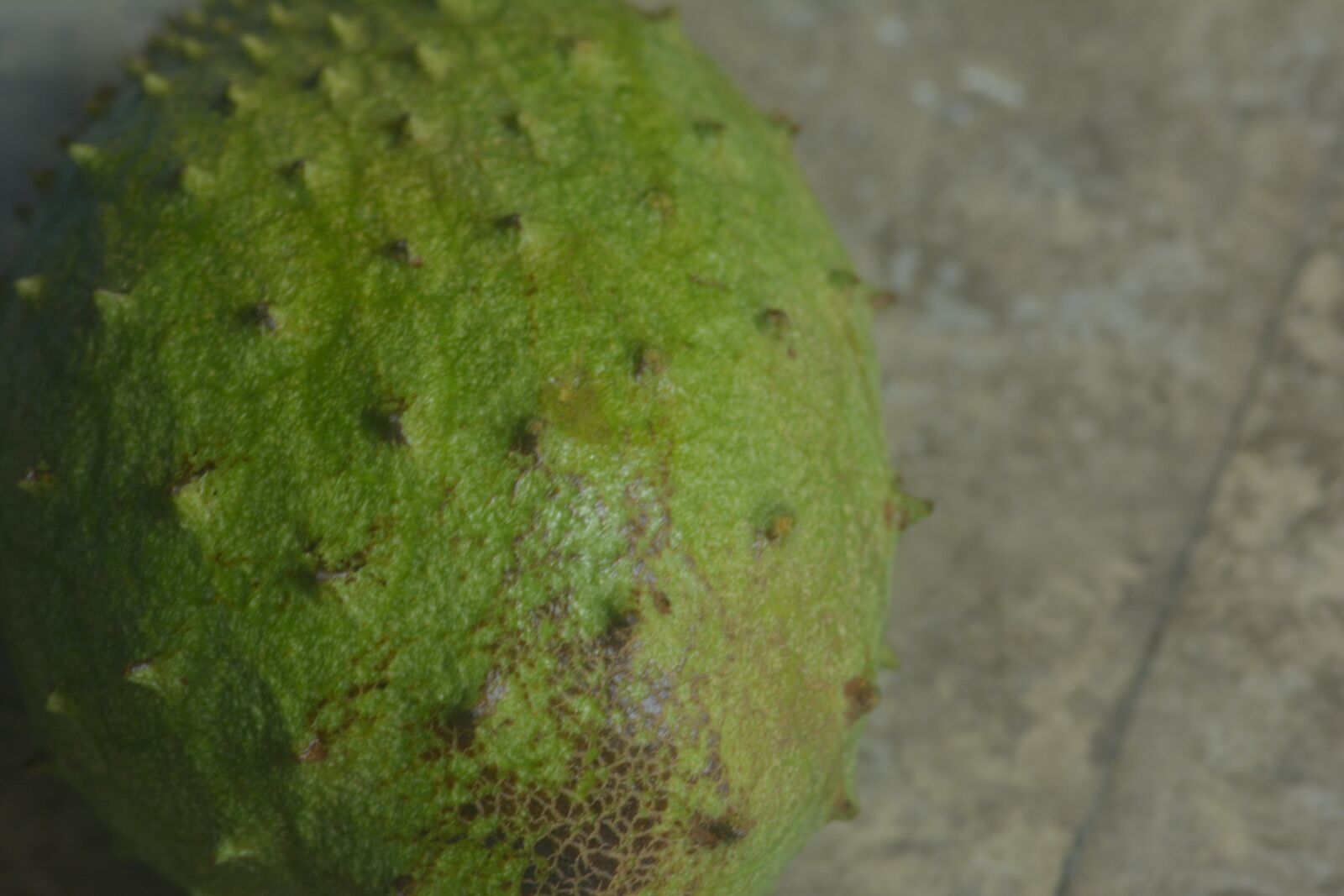 Nikon D5200 sample photo. Fruta, fruit, guanabana photography