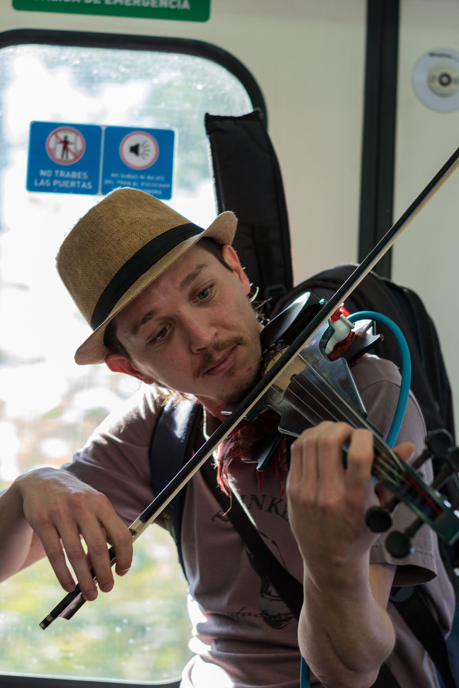 Nikon D5600 sample photo. Violin, musician, violinist photography
