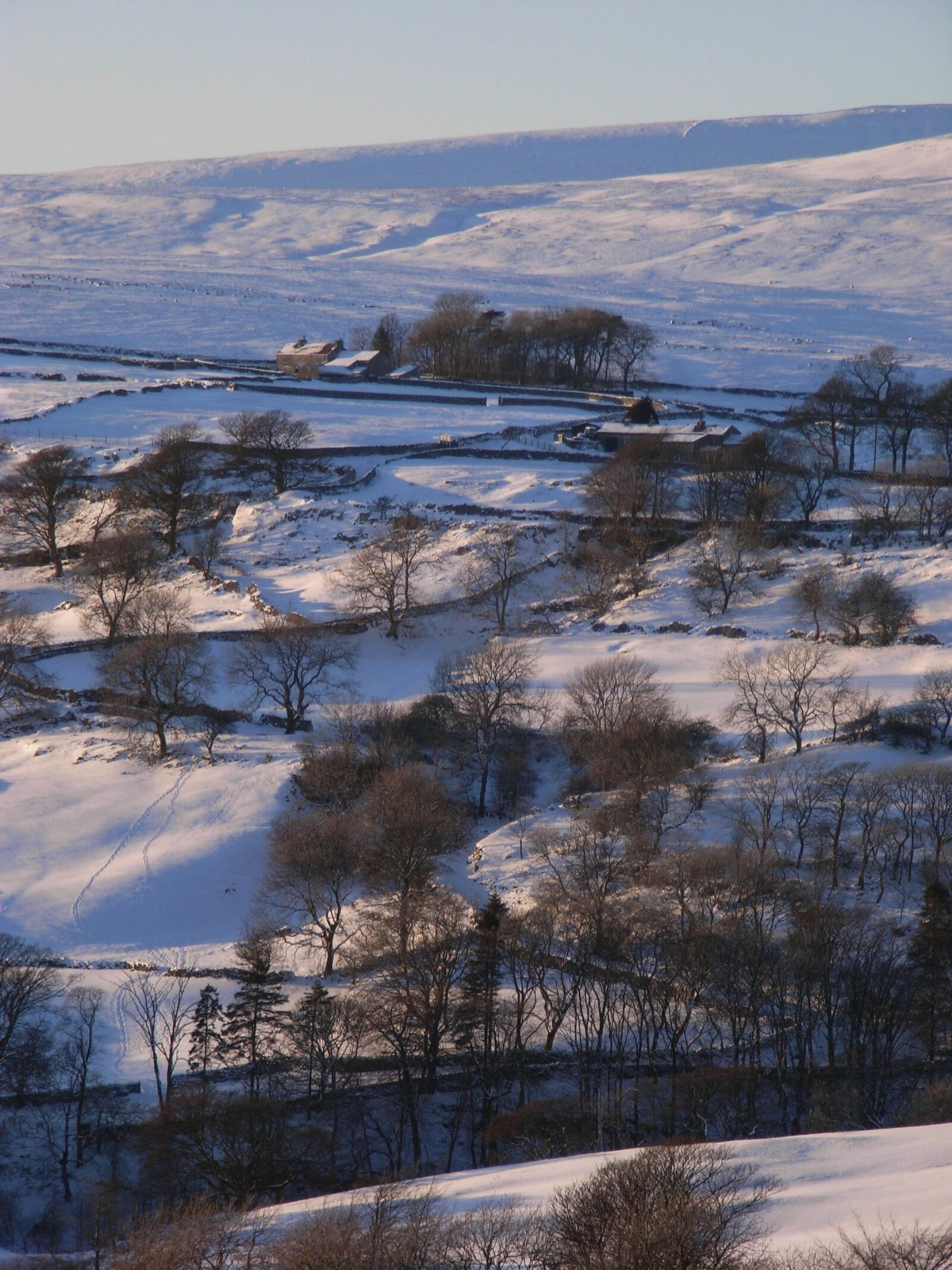 Ricoh Caplio R5 sample photo. Snow, trees, hills photography