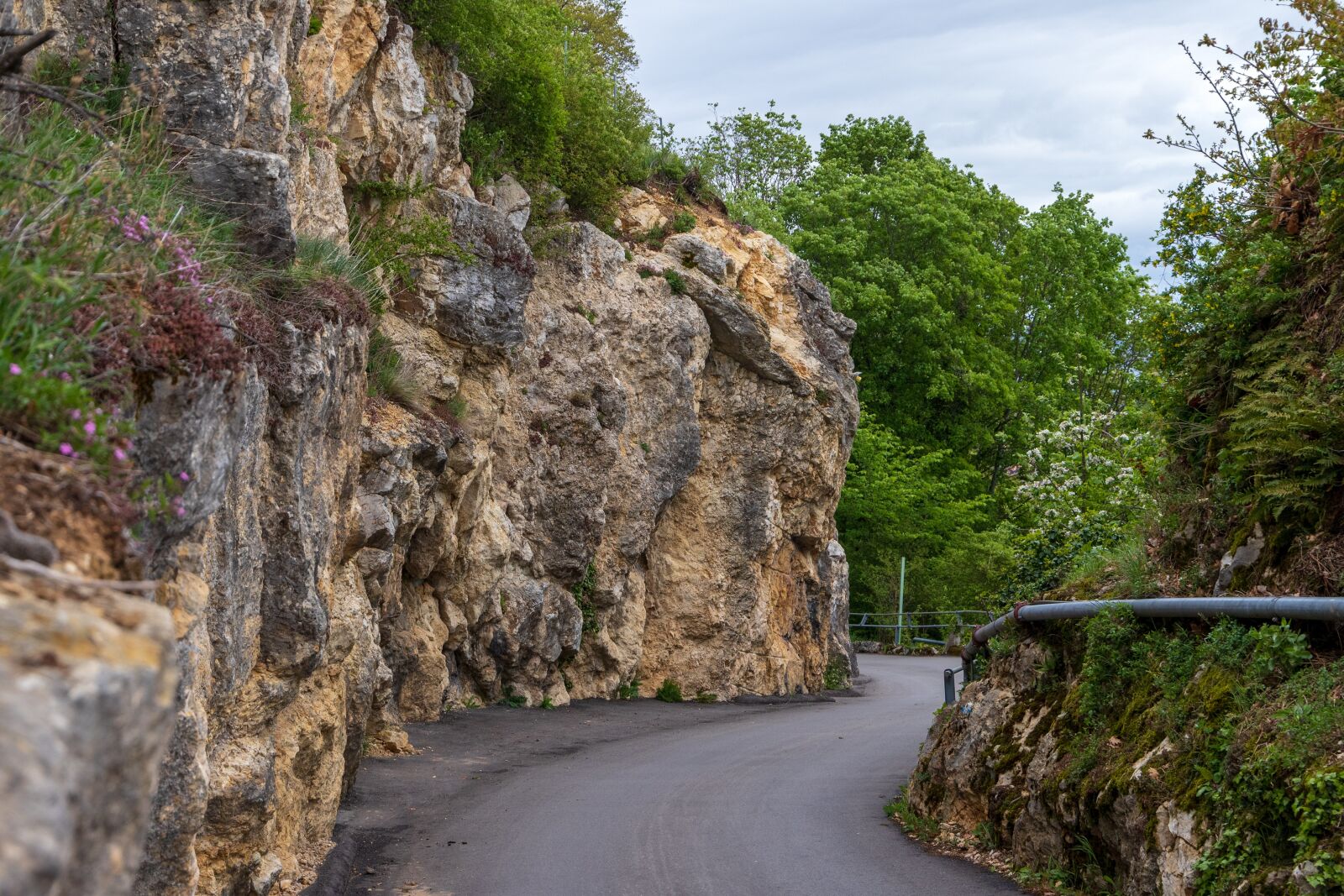 Canon EOS 6D Mark II sample photo. Road, rock, away photography