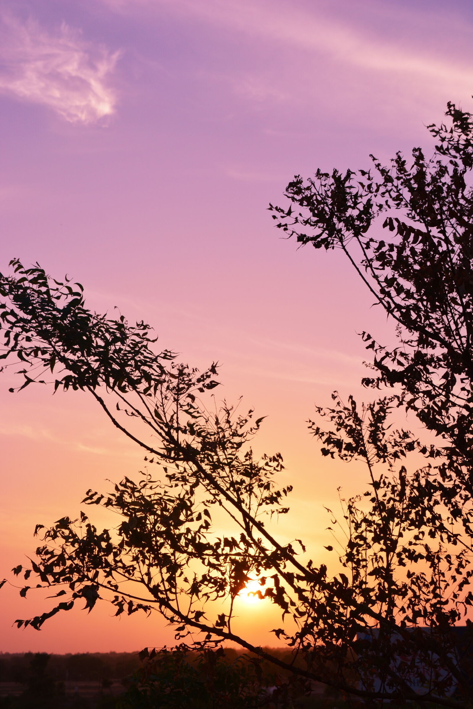 Nikon D5200 sample photo. Sunset photography