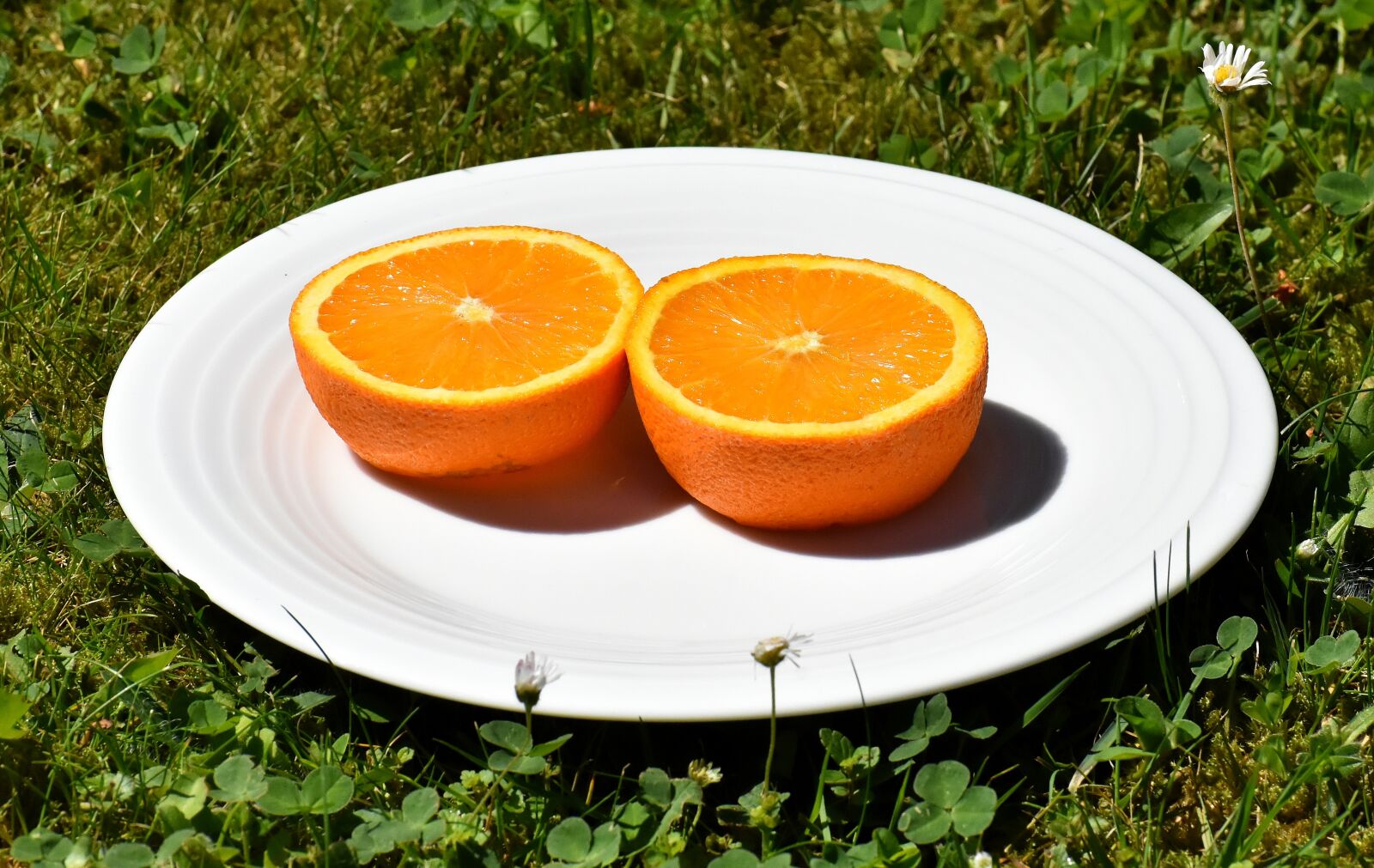 Nikon D7200 sample photo. Orange, delicious, fruit photography