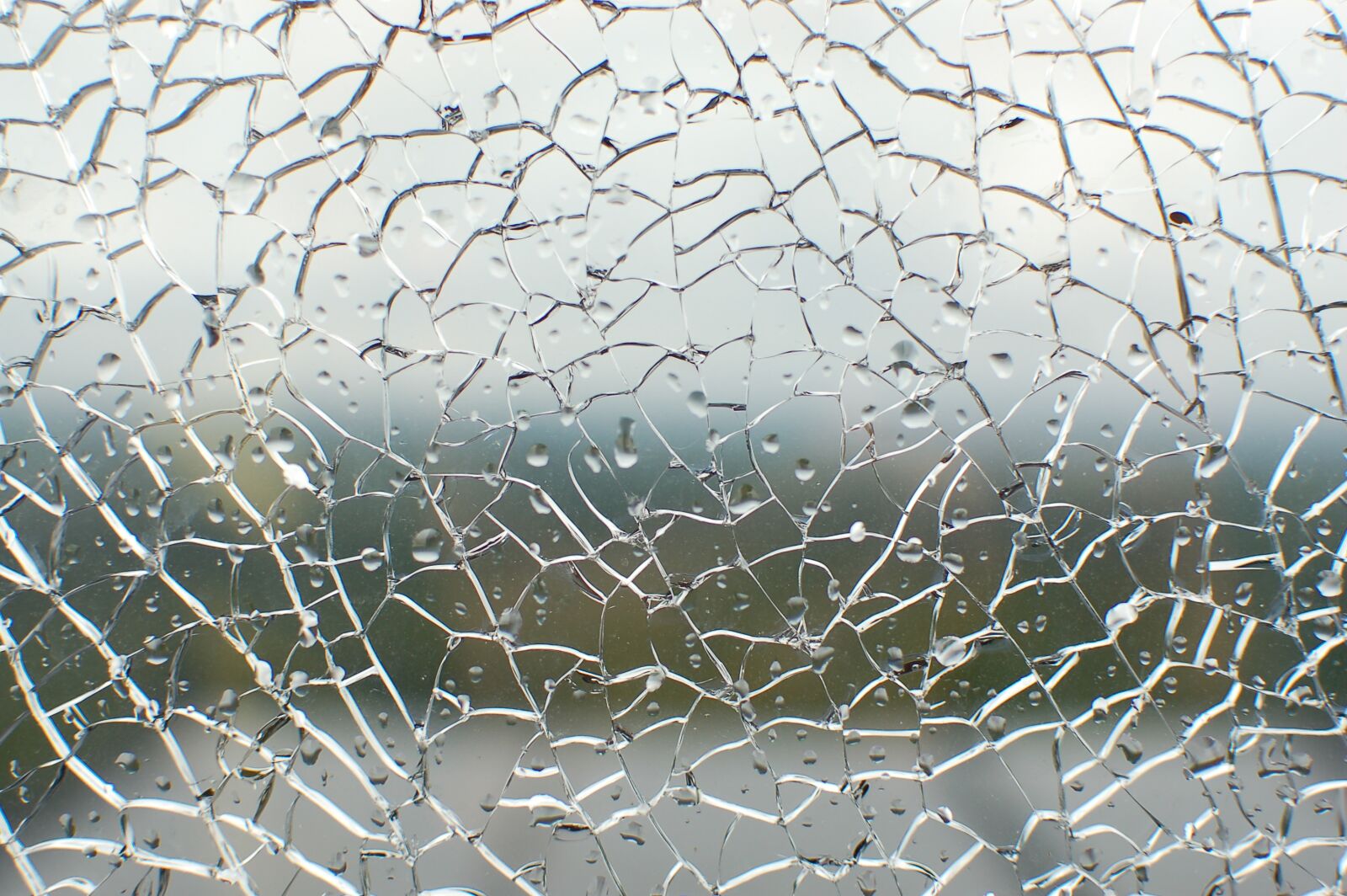 Nikon D50 sample photo. Glass, rain, broken photography