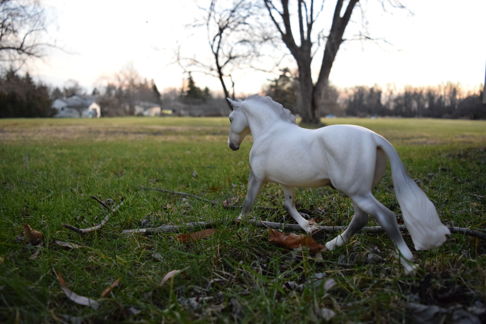 Nikon D3300 sample photo