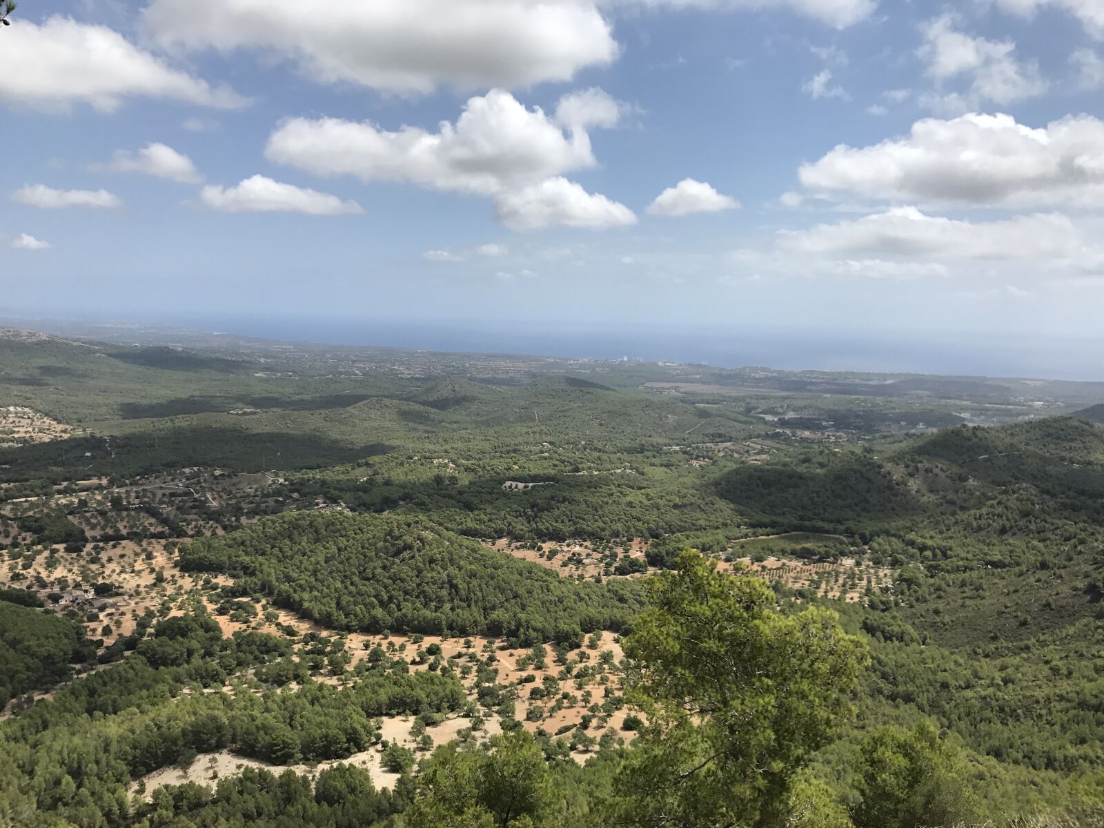 iPhone 7 back camera 3.99mm f/1.8 sample photo. Spain, island, holiday photography