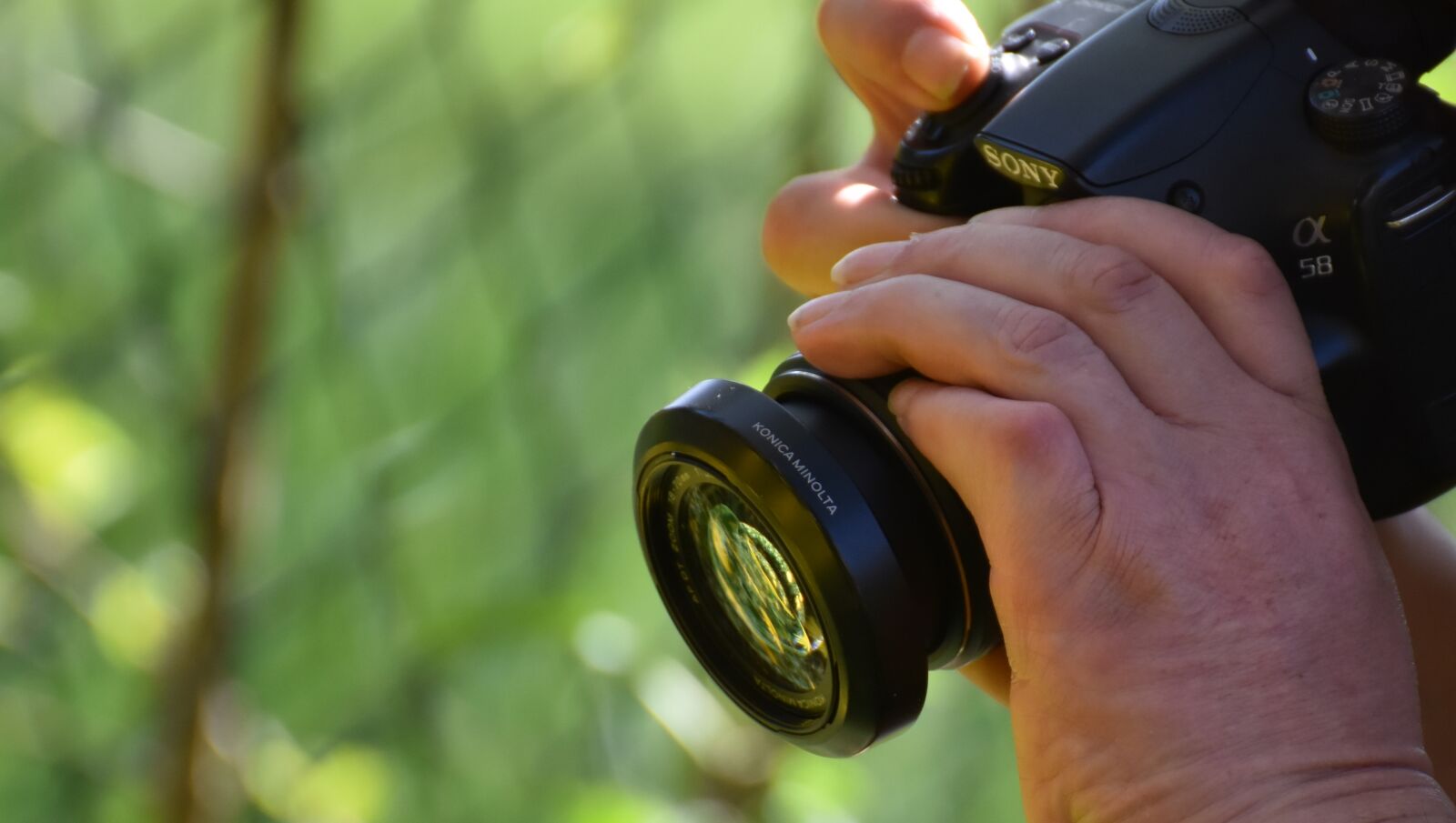 Nikon D7200 sample photo. Photograph, camera, sony photography