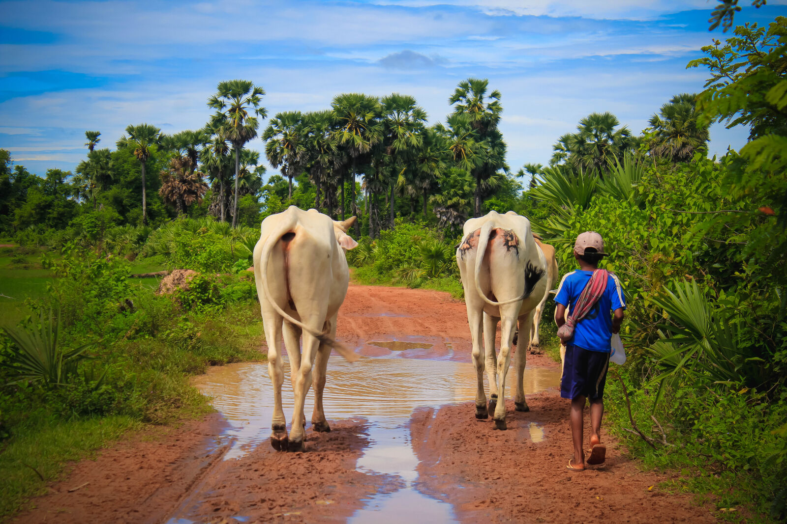 Canon EOS 1200D (EOS Rebel T5 / EOS Kiss X70 / EOS Hi) sample photo. Cambodia, rural, kid, farmer photography
