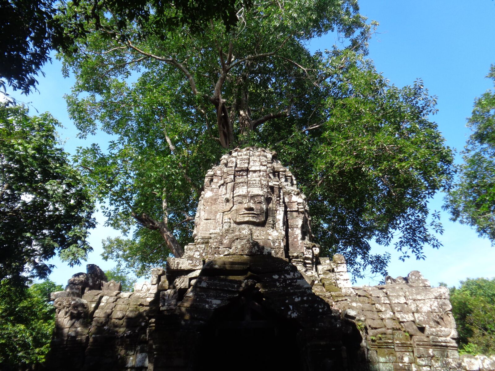 Sony Cyber-shot DSC-W830 sample photo. Cambodia, ruins, trees photography