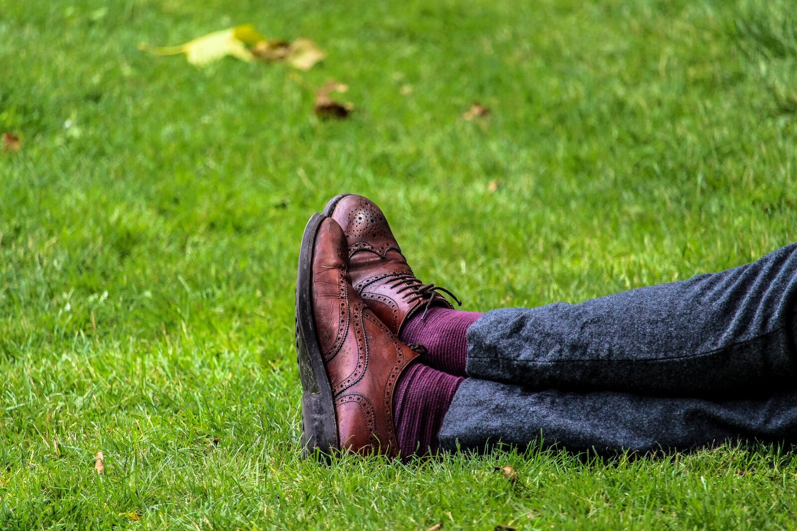 Canon EOS 700D (EOS Rebel T5i / EOS Kiss X7i) sample photo. Feet, field, footwear photography