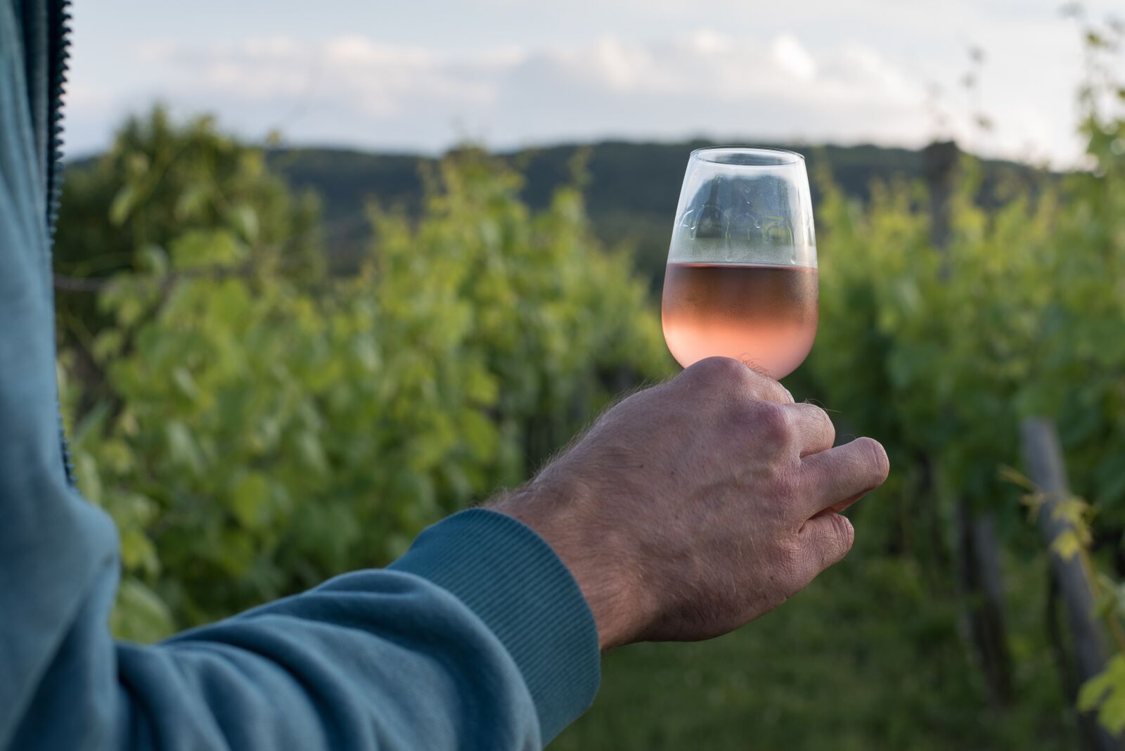 Nikon D750 sample photo. Wine, wine glass, glass photography