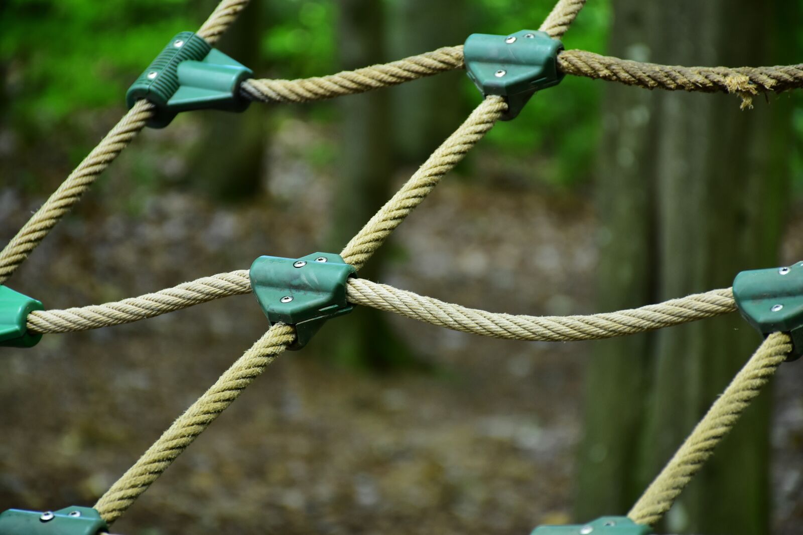 Nikon D7200 sample photo. Climb, high ropes course photography