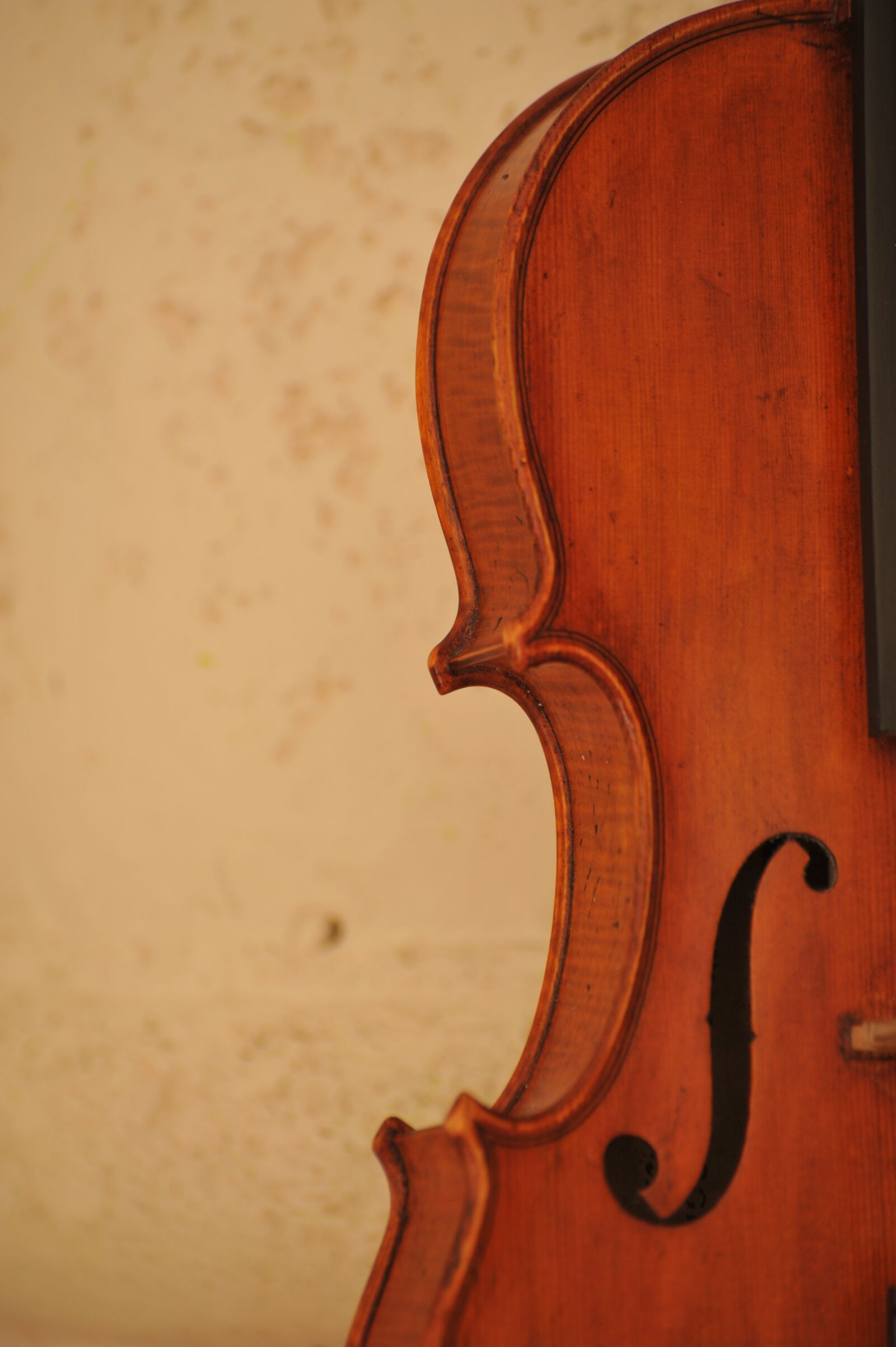 Nikon D700 sample photo. Violin, music, art photography