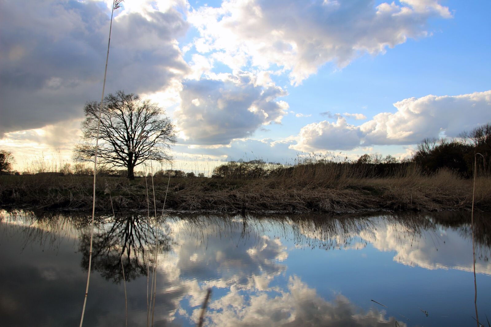 Canon EOS 100D (EOS Rebel SL1 / EOS Kiss X7) sample photo. Landscape, lake, mirroring photography