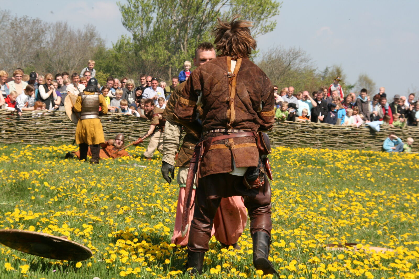 Sigma 18-200mm f/3.5-6.3 DC OS sample photo. Vikings photography