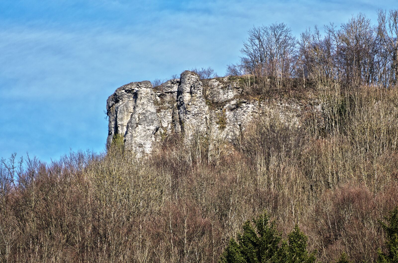 Panasonic Lumix DMC-FZ1000 sample photo. Morning, rock, tree photography