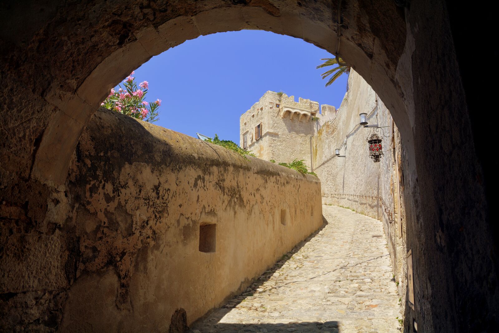 Nikon D7100 sample photo. Castle, arc, ascent photography