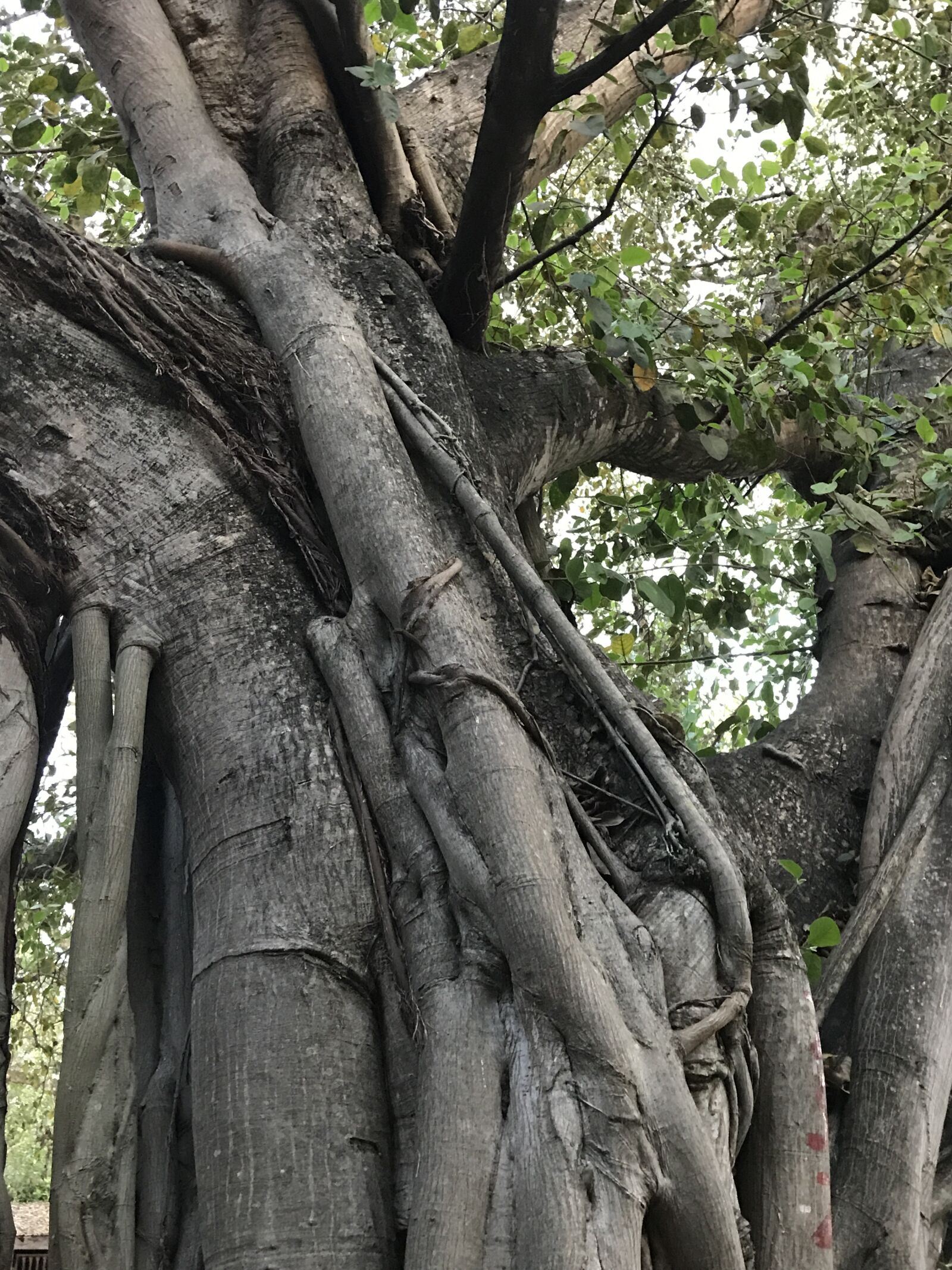 iPhone 7 back camera 3.99mm f/1.8 sample photo