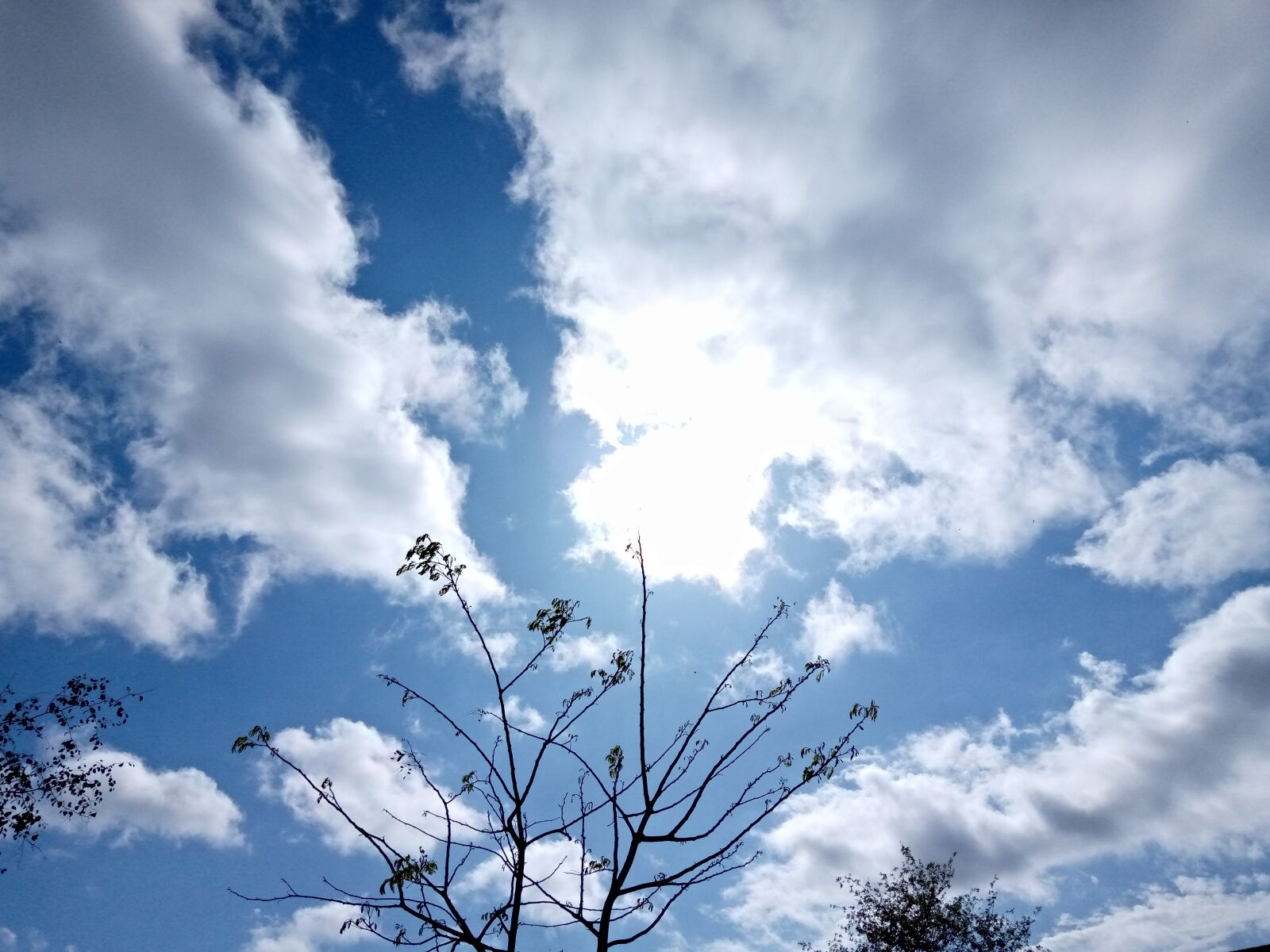TECNO MOBILE LIMITED TECNO KC2 sample photo. Cloud, is, very photography