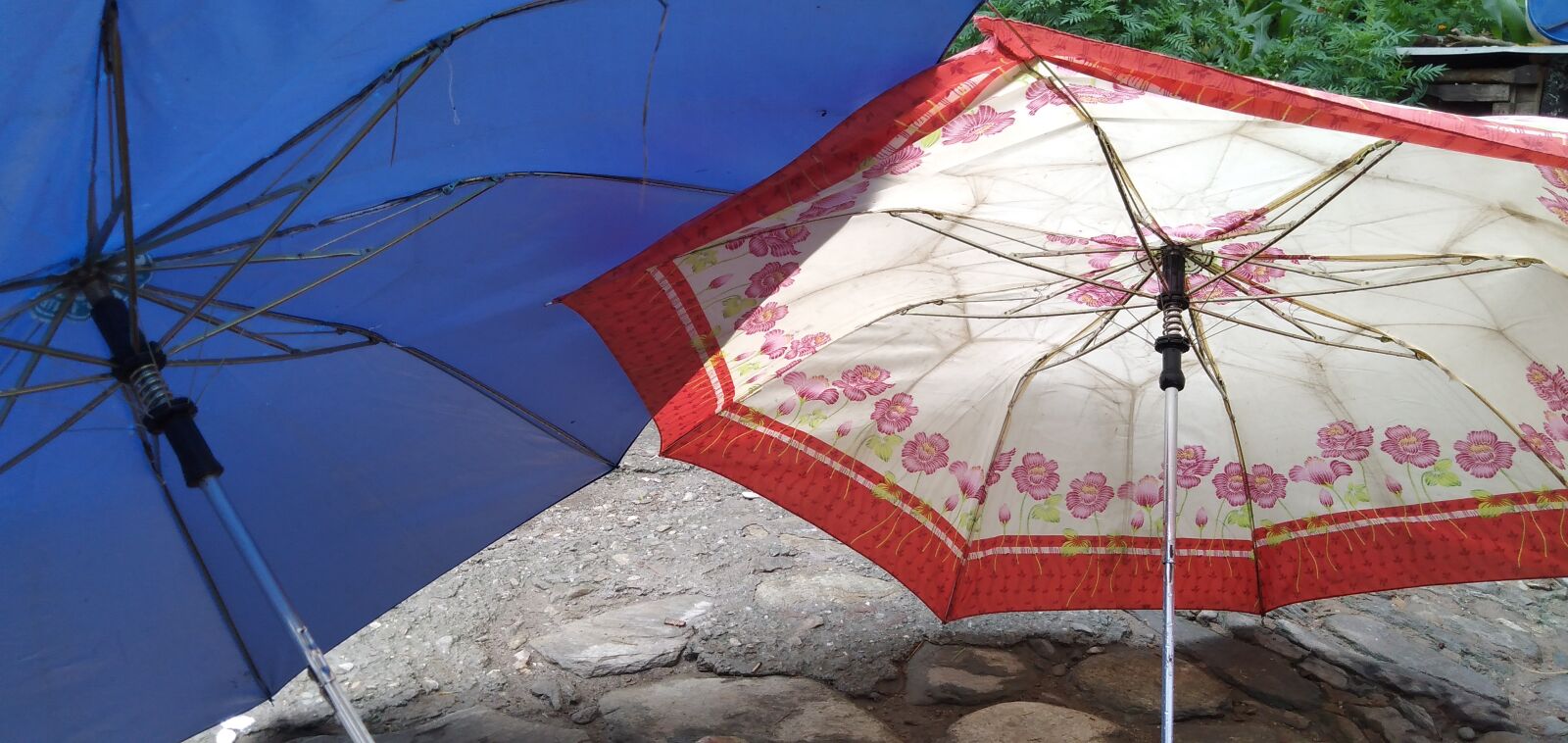 OPPO Realme C1 sample photo. Umbrella, coloured umbrella, rain photography