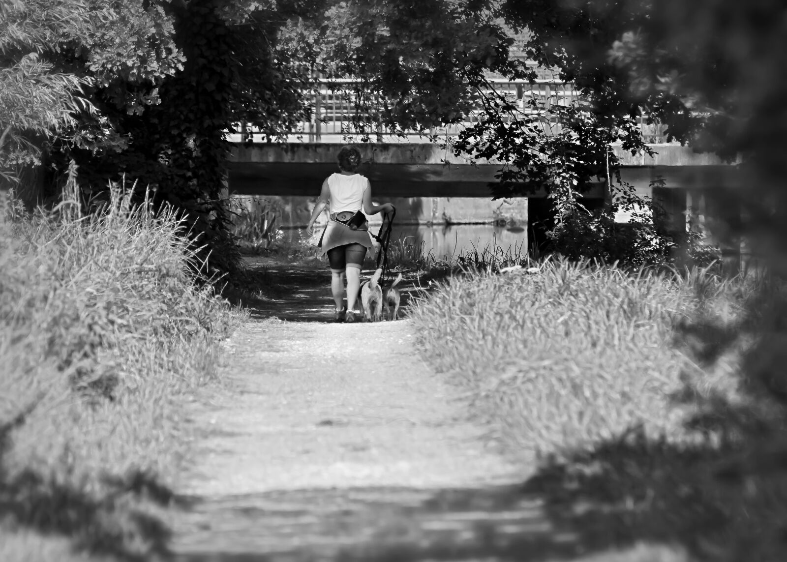 Canon EOS 50D sample photo. Walk, hiking, away photography