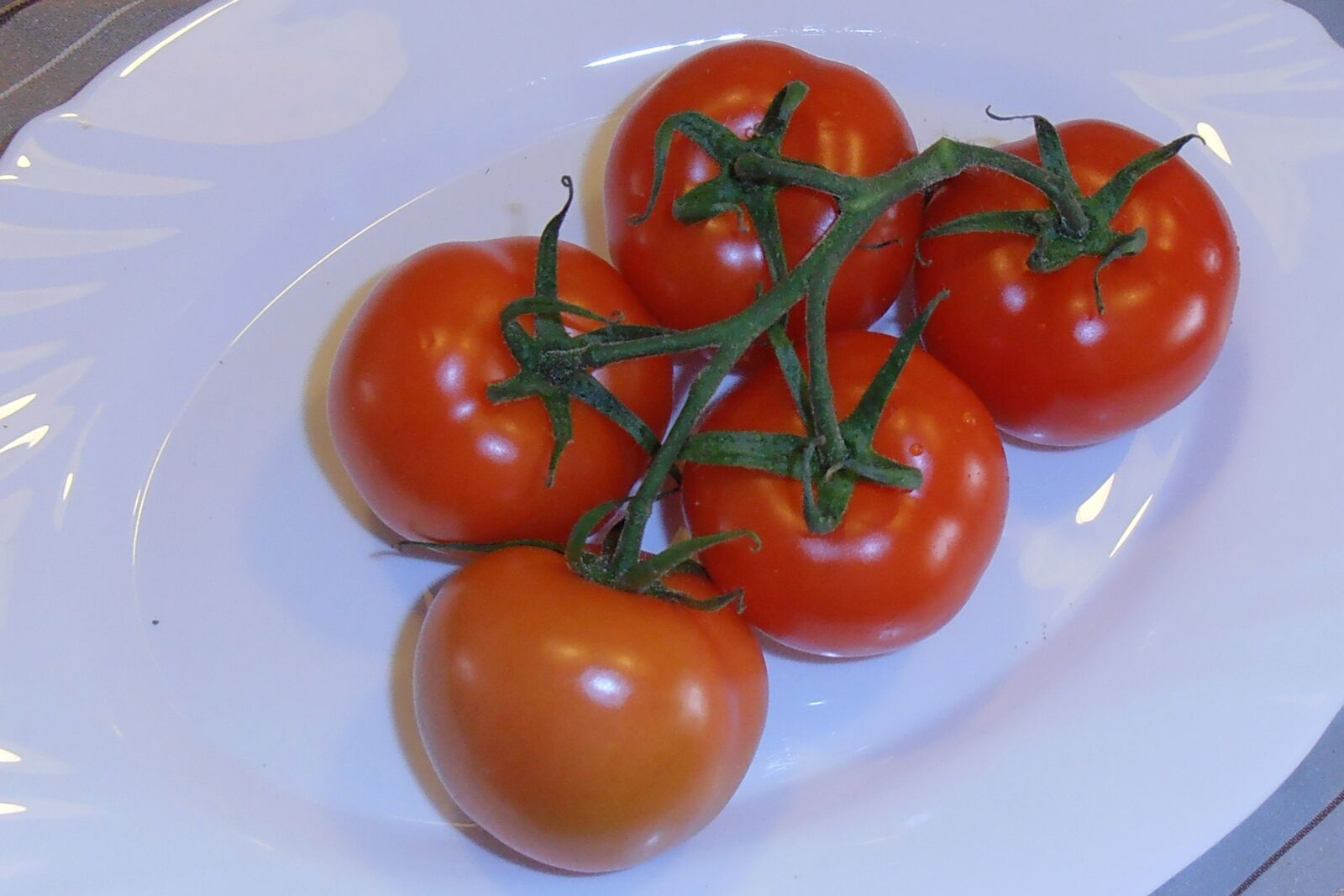 Olympus VR310,D720 sample photo. Tomatoes, bush tomatoes, trusses photography