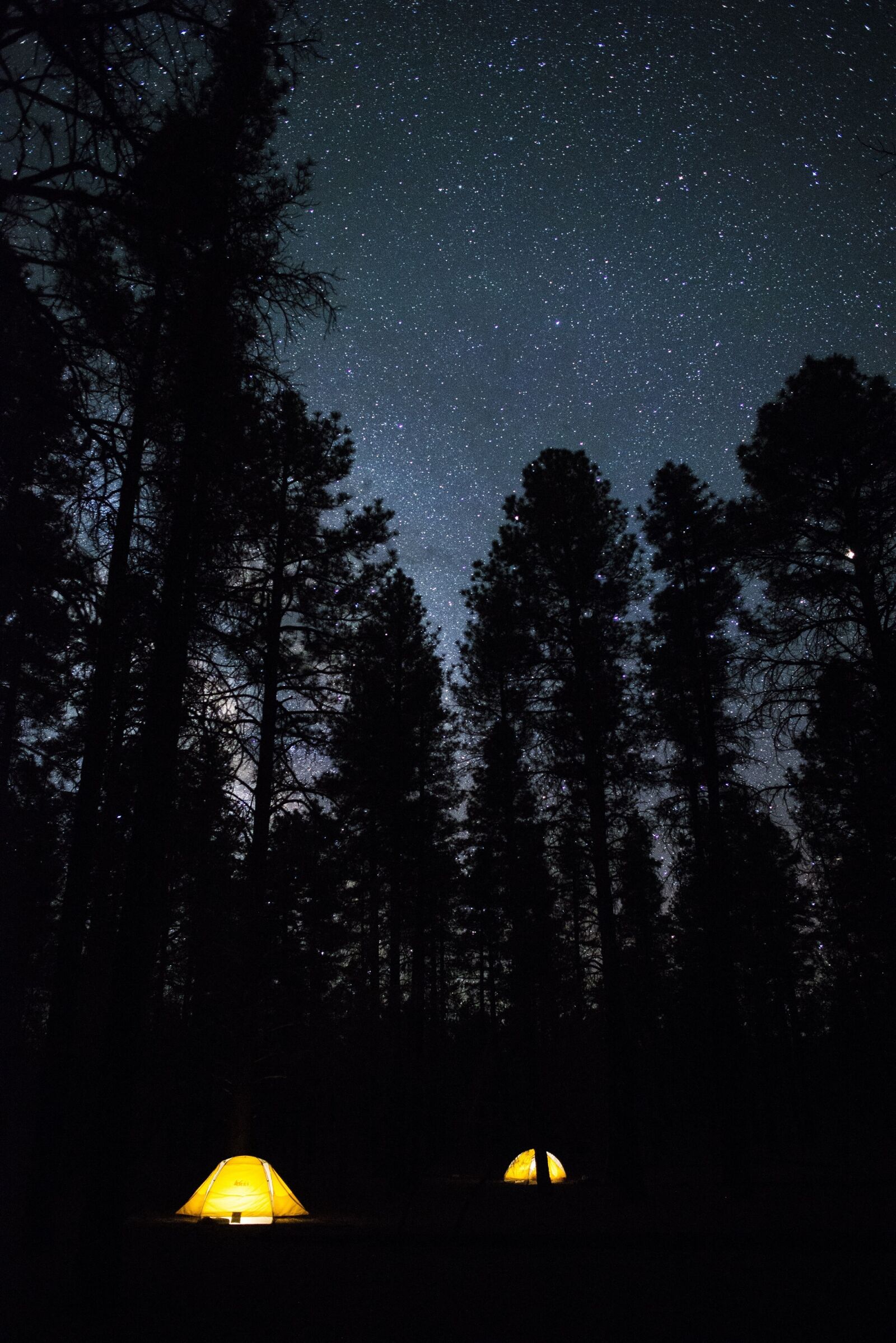 Nikon D610 sample photo. Camping, night, tents photography