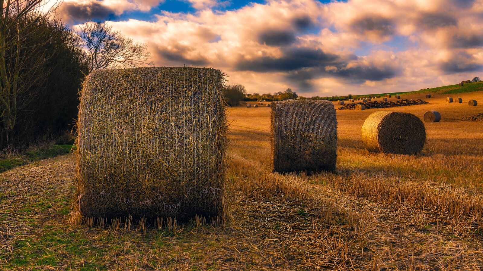 Canon EOS 7D + Canon EF 24-70mm F4L IS USM sample photo. Bales, hay, field photography