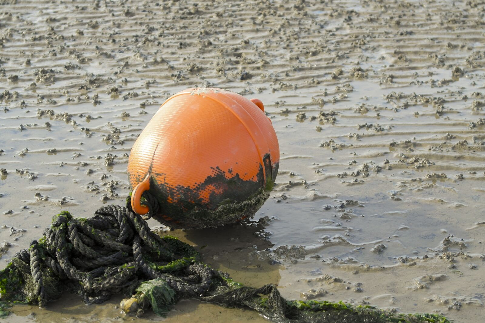 Samsung NX1000 sample photo. Boje, watts, mud photography