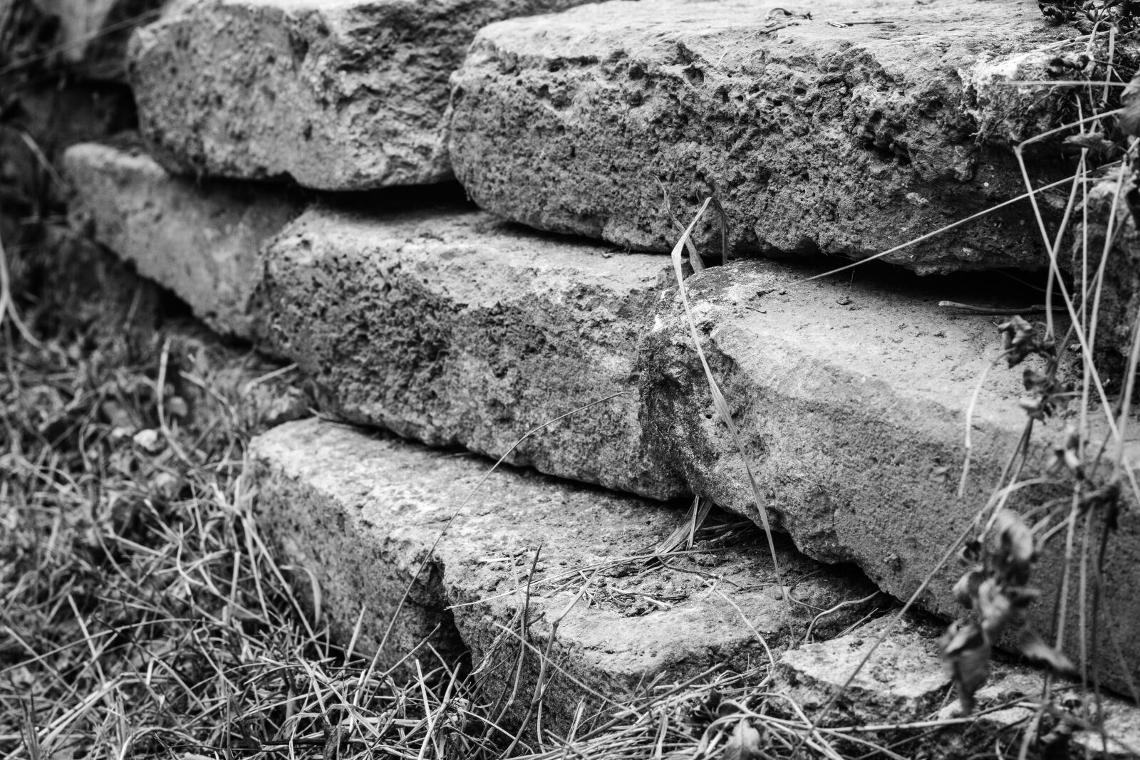 Canon EOS 700D (EOS Rebel T5i / EOS Kiss X7i) + Canon EF 50mm F1.8 STM sample photo. Wall, bricks, obstacle photography