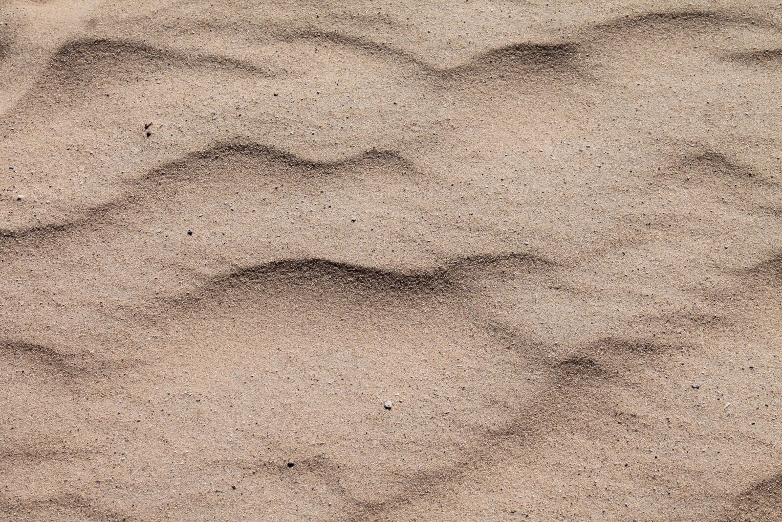 Canon EOS 1100D (EOS Rebel T3 / EOS Kiss X50) sample photo. Sand, beach, dune photography