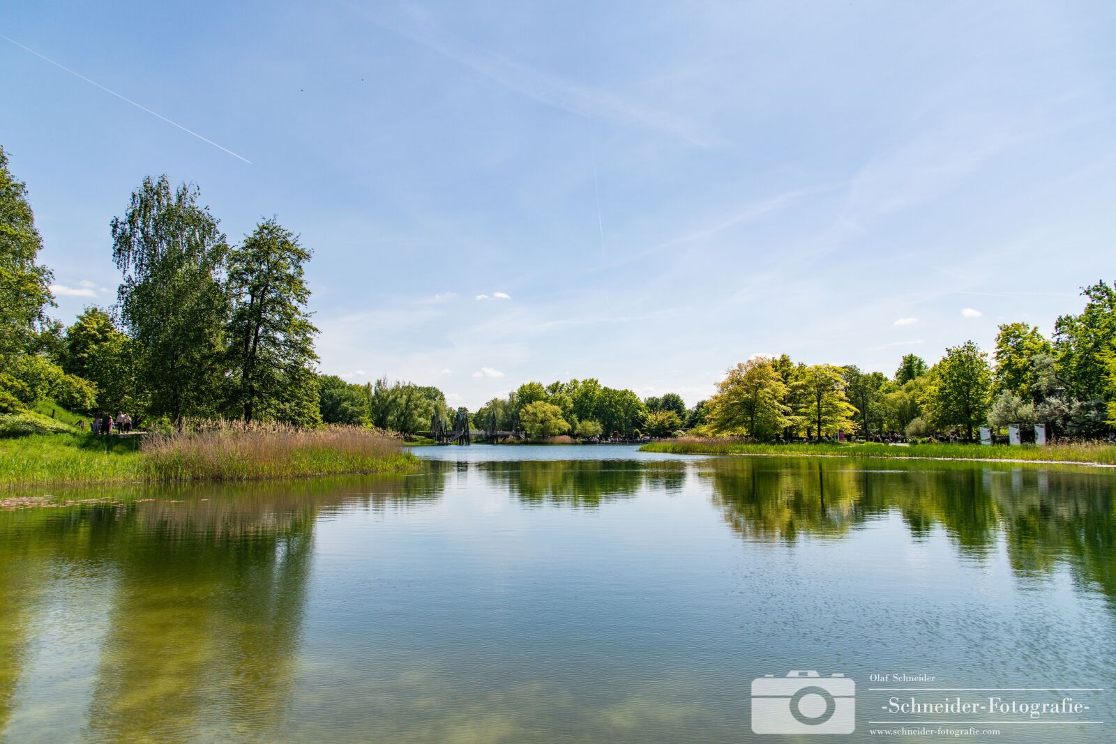 Nikon D850 sample photo. Britzer garden photography