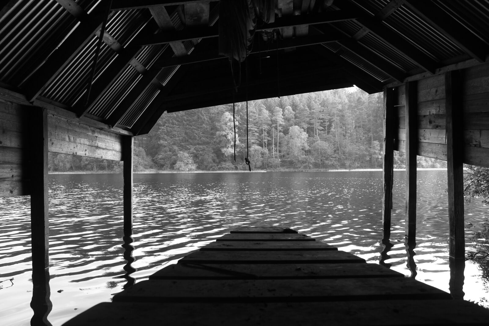 Canon EOS 600D (Rebel EOS T3i / EOS Kiss X5) sample photo. Pond, scotland, nature photography