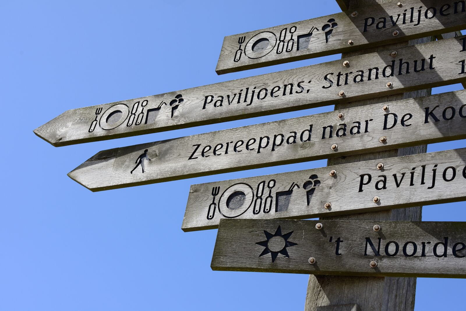 Nikon D610 sample photo. Directory, texel, holland photography