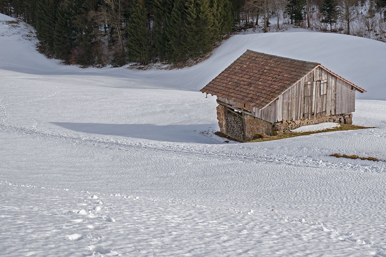 Panasonic Lumix DC-G9 sample photo. Scale, tool shed, hut photography
