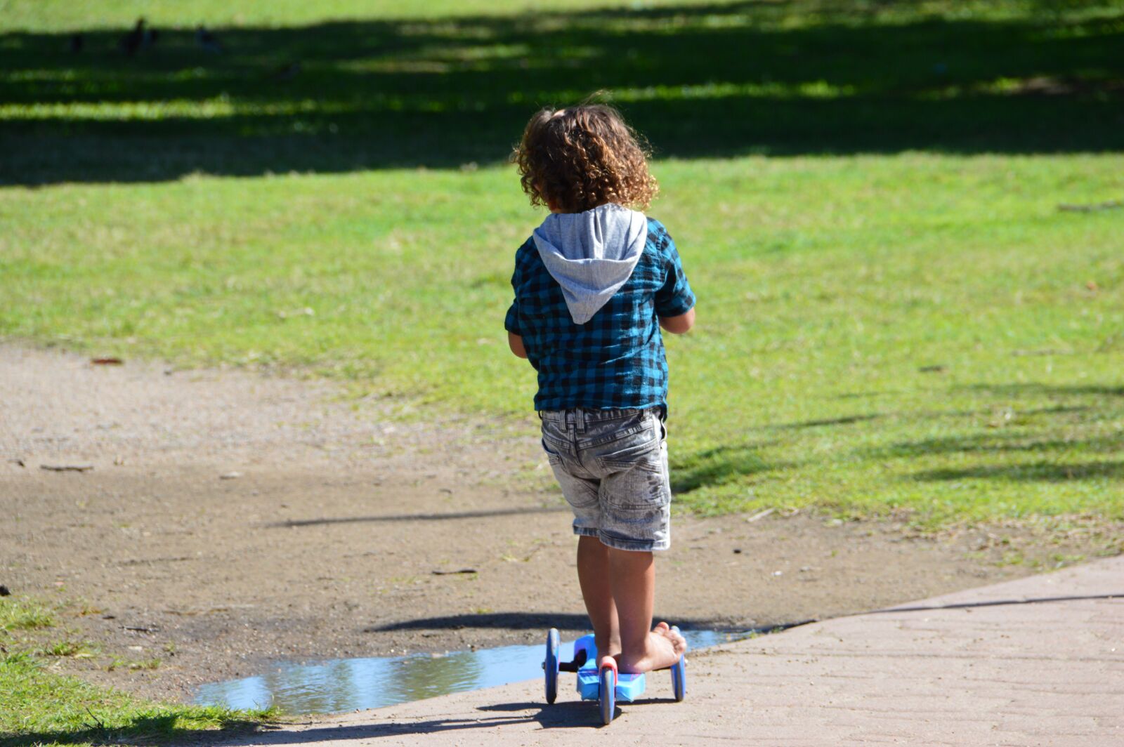 Nikon D3200 sample photo. Child, boy, summer photography