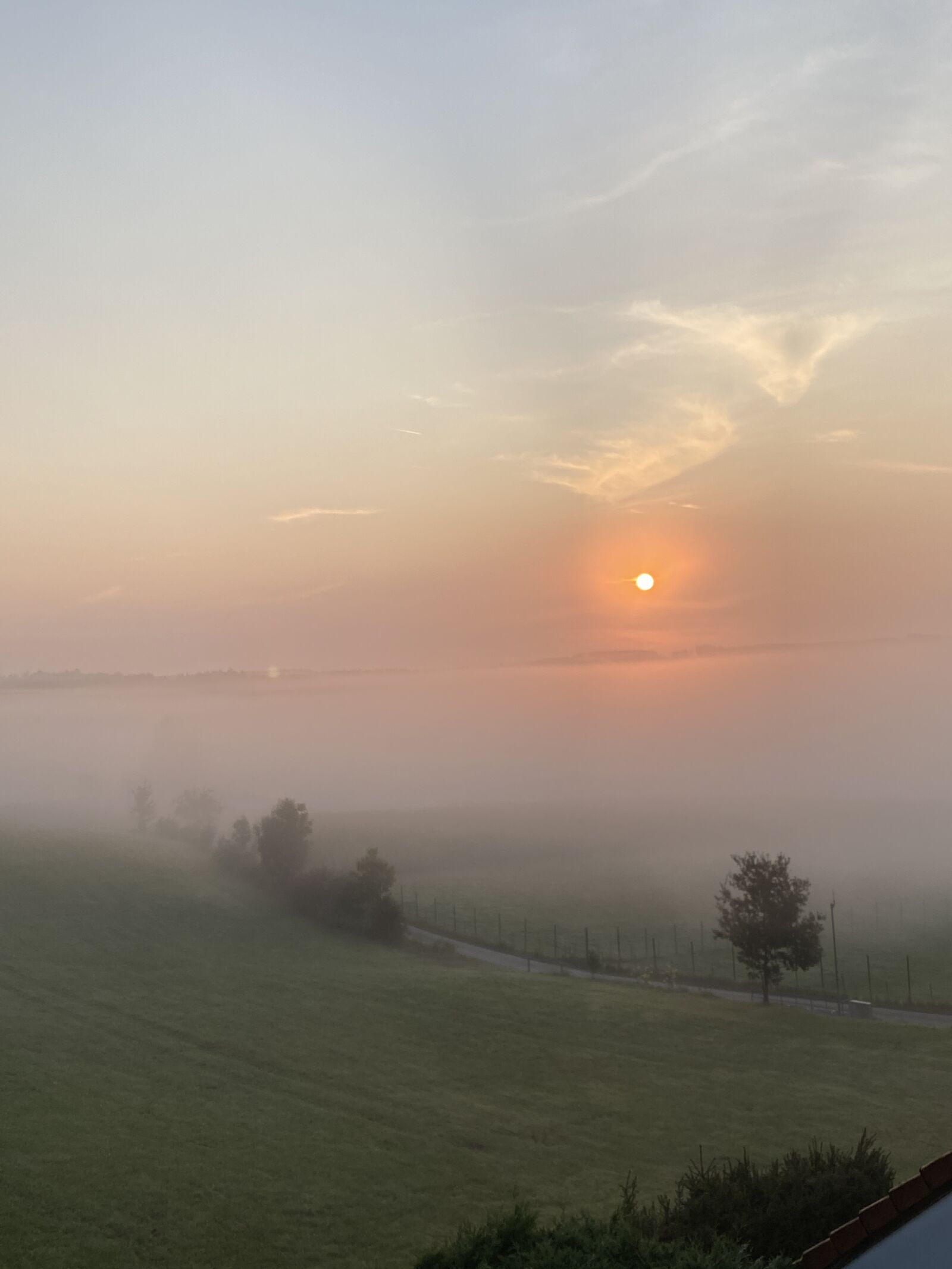 Apple iPhone 11 Pro Max + iPhone 11 Pro Max back triple camera 4.25mm f/1.8 sample photo. Autumn, fog, landscape photography