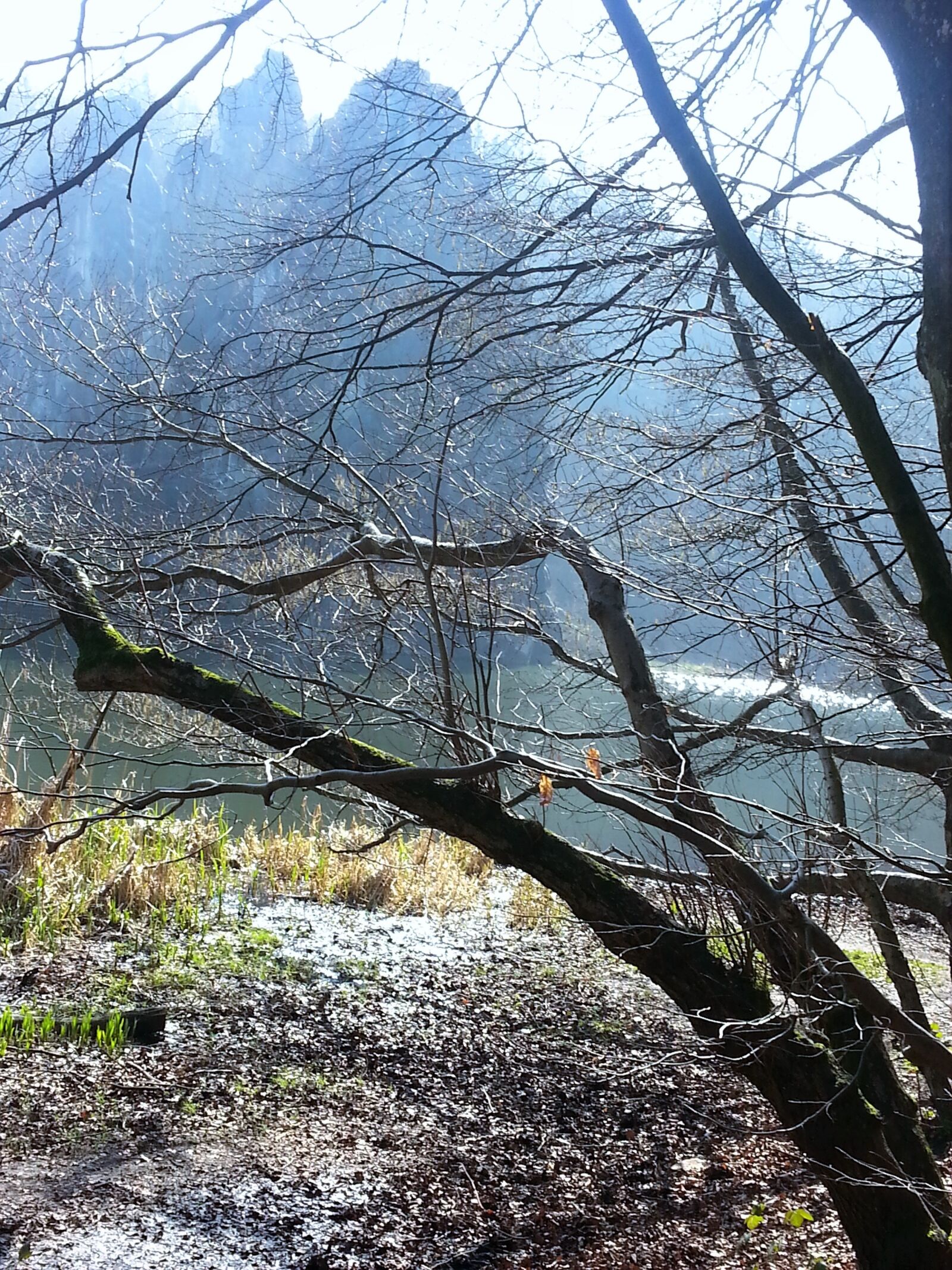 Samsung Galaxy S3 sample photo. Externsteine, forest, mountains photography