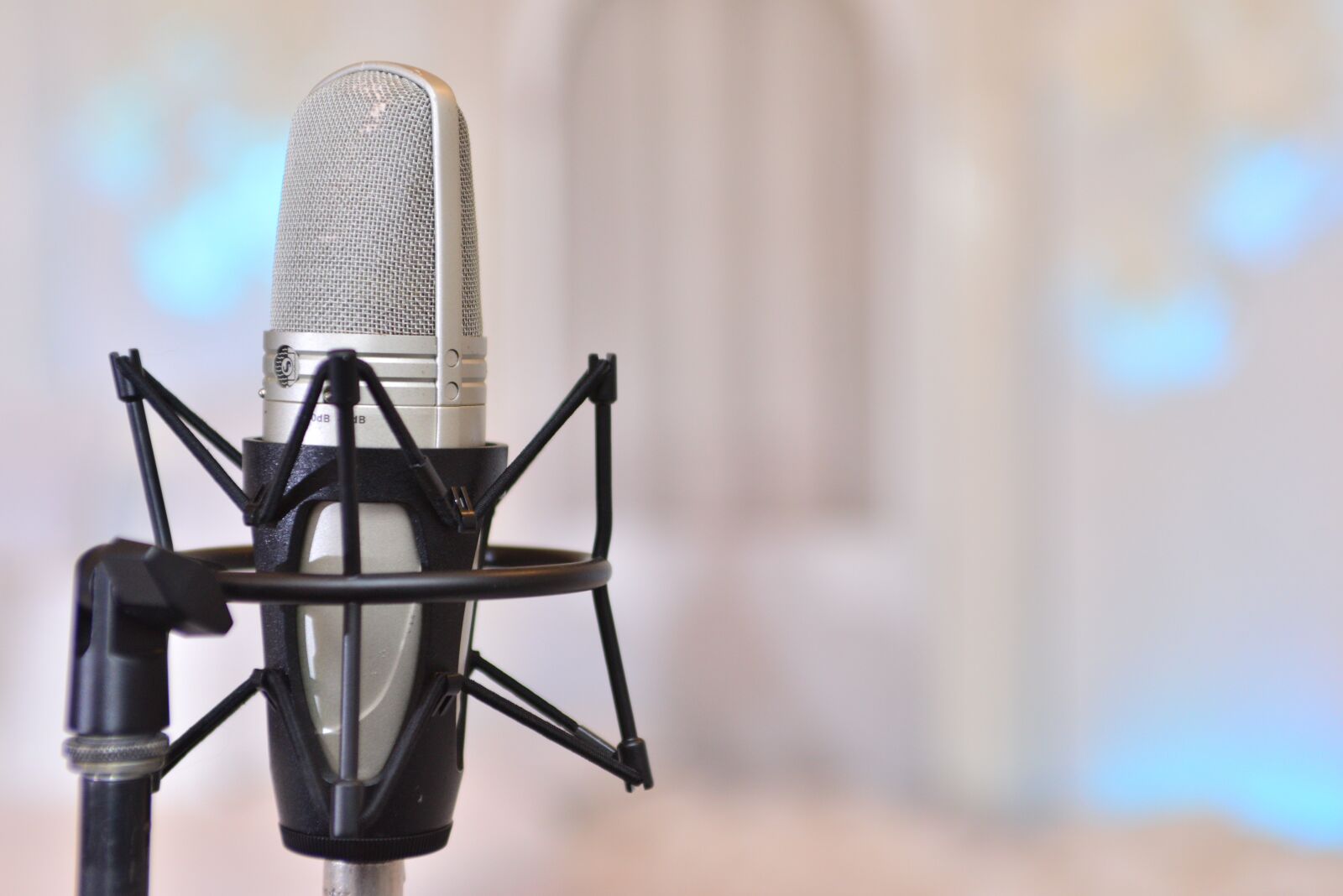 Nikon D610 sample photo. Mic, microphone, stage photography