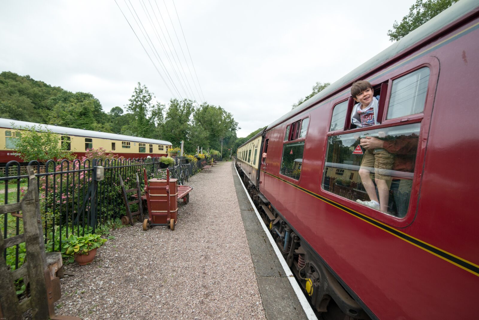 Nikon D800 sample photo. Train, carriage, moving photography