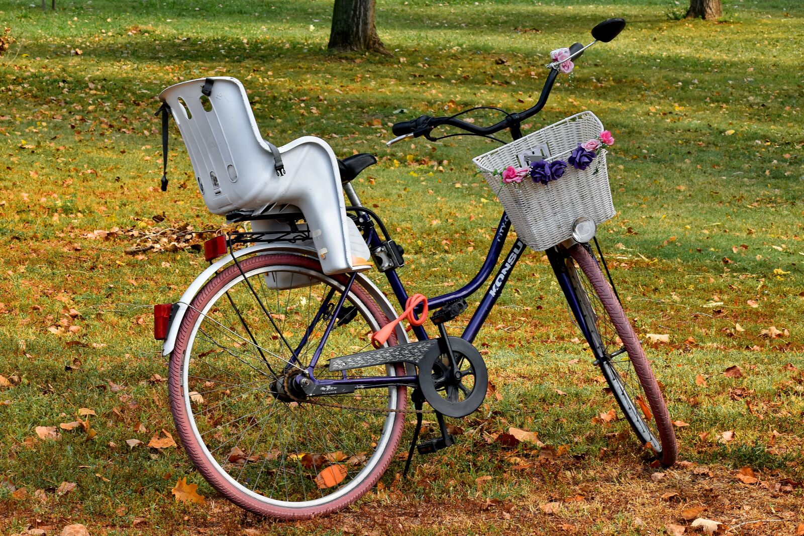 Nikon D5500 sample photo. Bicycle, decorative, forest, nostalgia photography