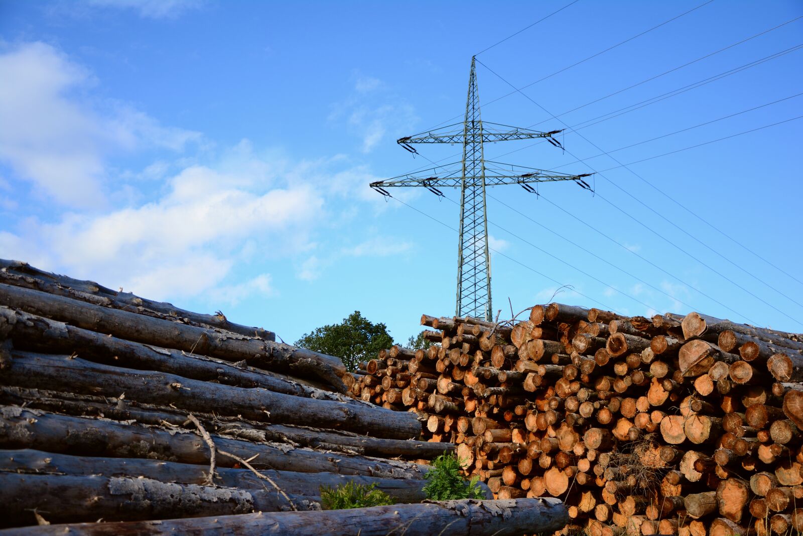 Nikon D5200 sample photo. Wood, current, energy photography