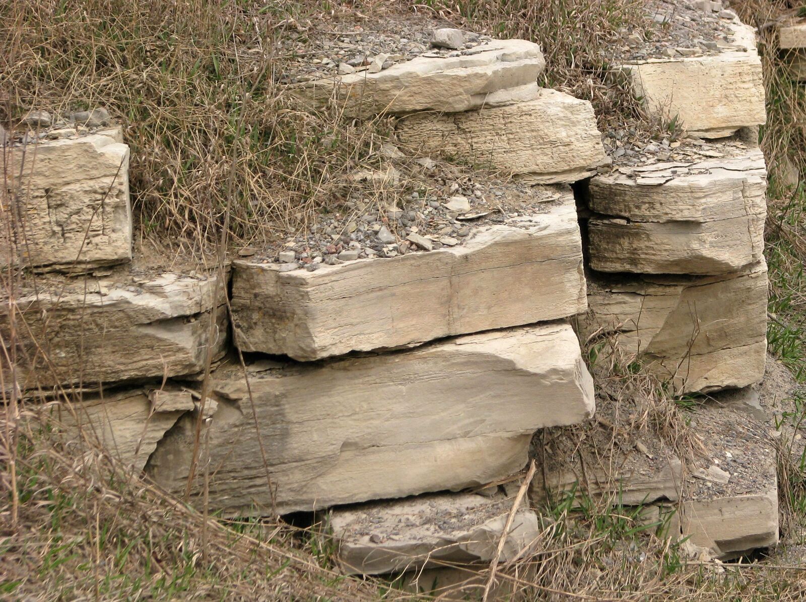 Canon POWERSHOT S5 IS sample photo. Limestone, marlbank, ontario photography