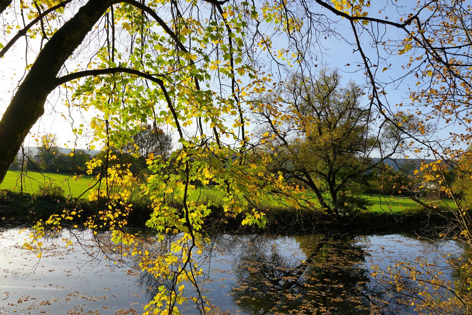 Sony ILCA-77M2 + Sony DT 16-50mm F2.8 SSM sample photo. Autumn, danube, nature photography
