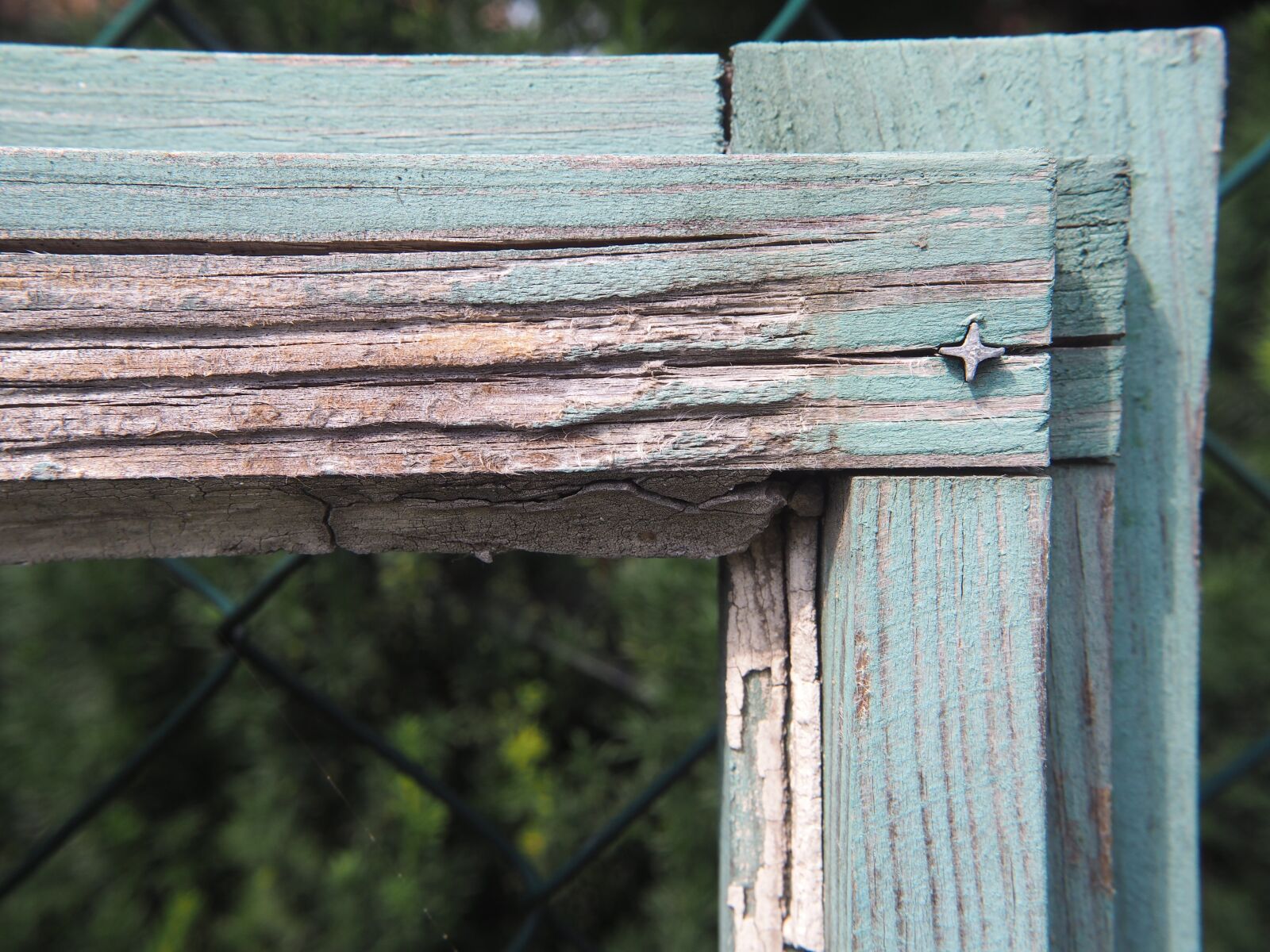 Olympus OM-D E-M10 sample photo. Wood, frame, background photography