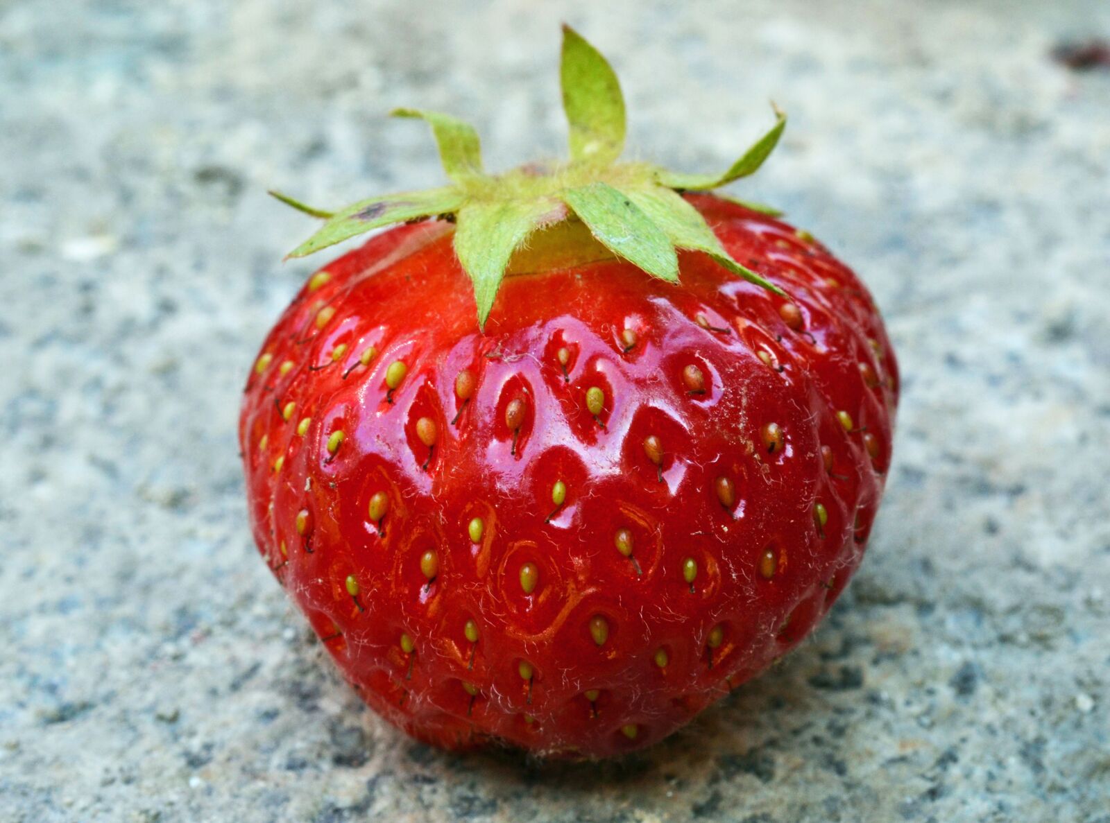 Nikon D3100 sample photo. Strawberry, bio, fruit photography