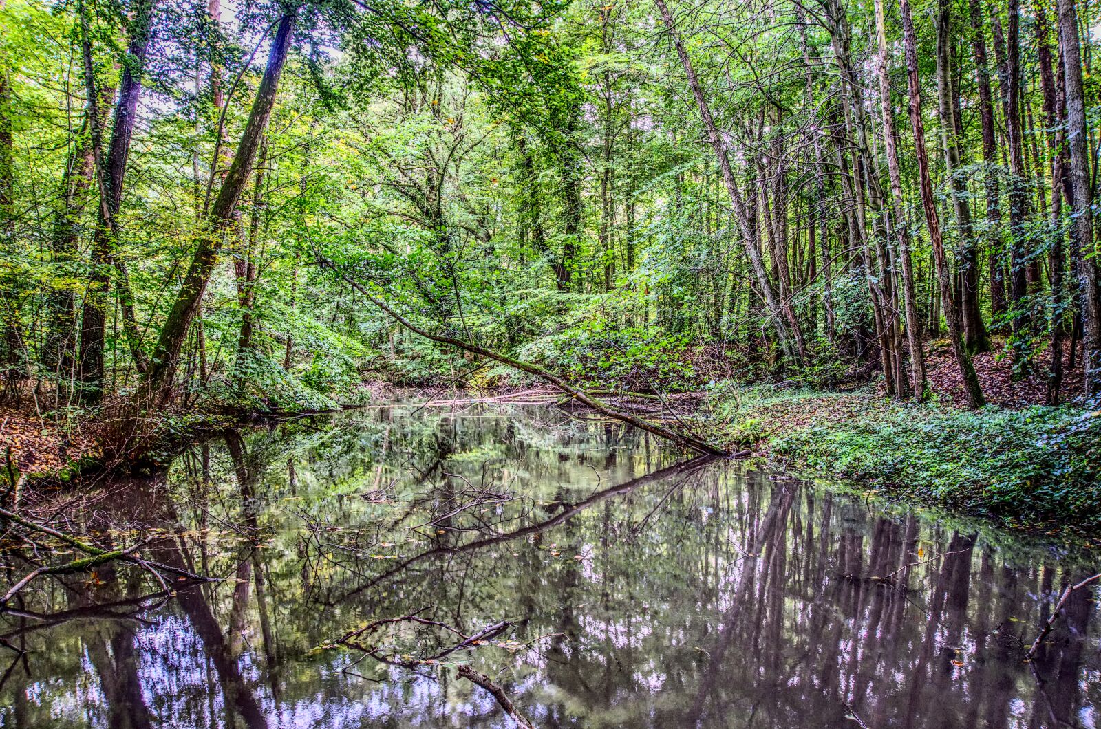 Sony E 16-50mm F3.5-5.6 PZ OSS sample photo. Water, mirroring, reflection photography