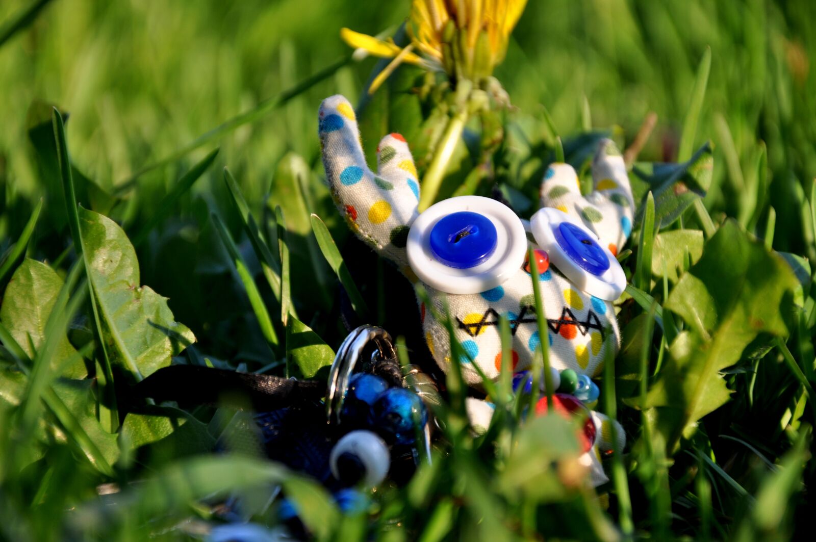 Nikon D90 sample photo. Teddy bear, lost, meadow photography