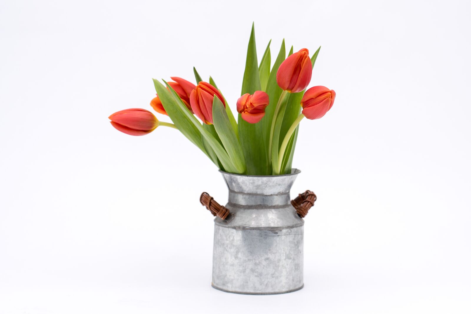 Nikon D750 sample photo. Tulip, bouquet, flower photography